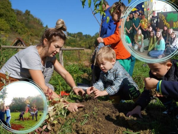 Plant a tree, don’t be a stump!